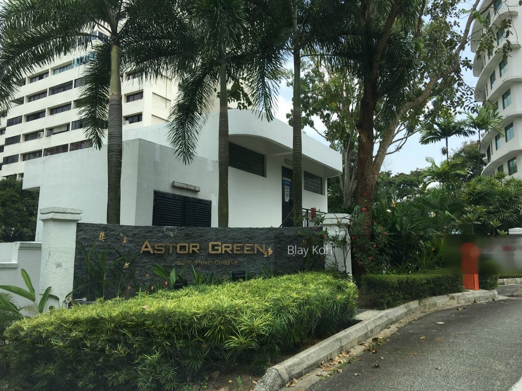 Astor Green (D21), Condominium #121110842